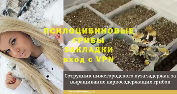 молекула духа Абинск