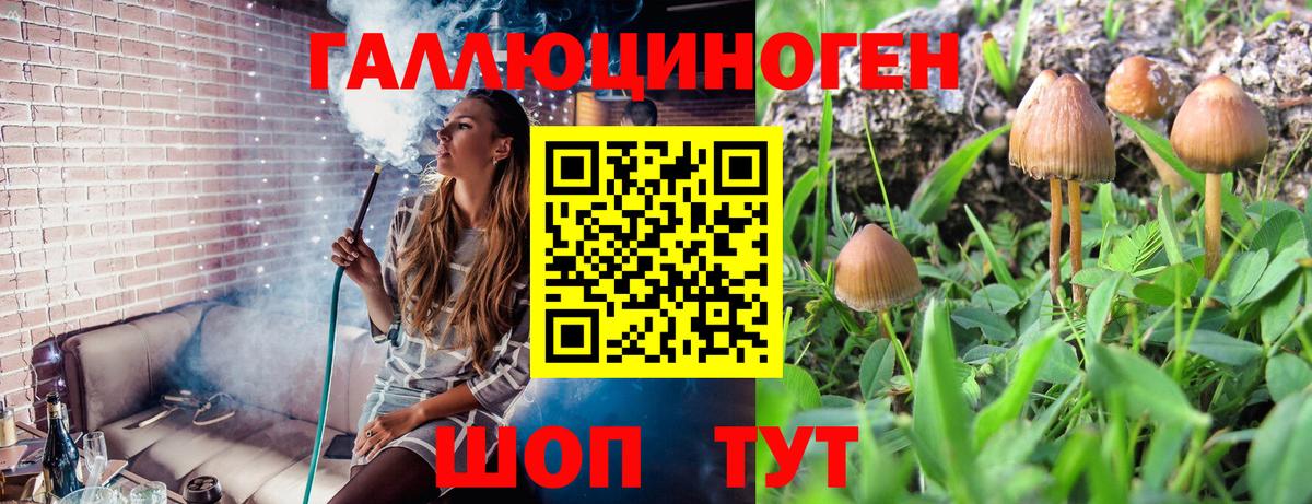Нягань  Галлюциногенные грибы Psilocybine cubensis  Вход с VPN 